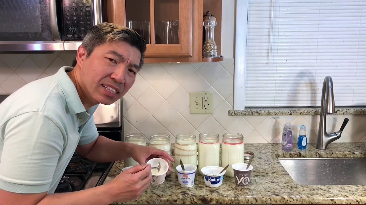 Which brand of yogurt is the best starter for homemade yogurt?