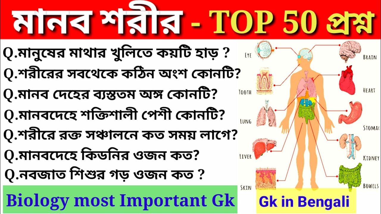 Human body Important Questions / মানব শরীর গুরুত্বপূর্ণ প্রশ্ন / Anatomy /Science GK /Biology GK