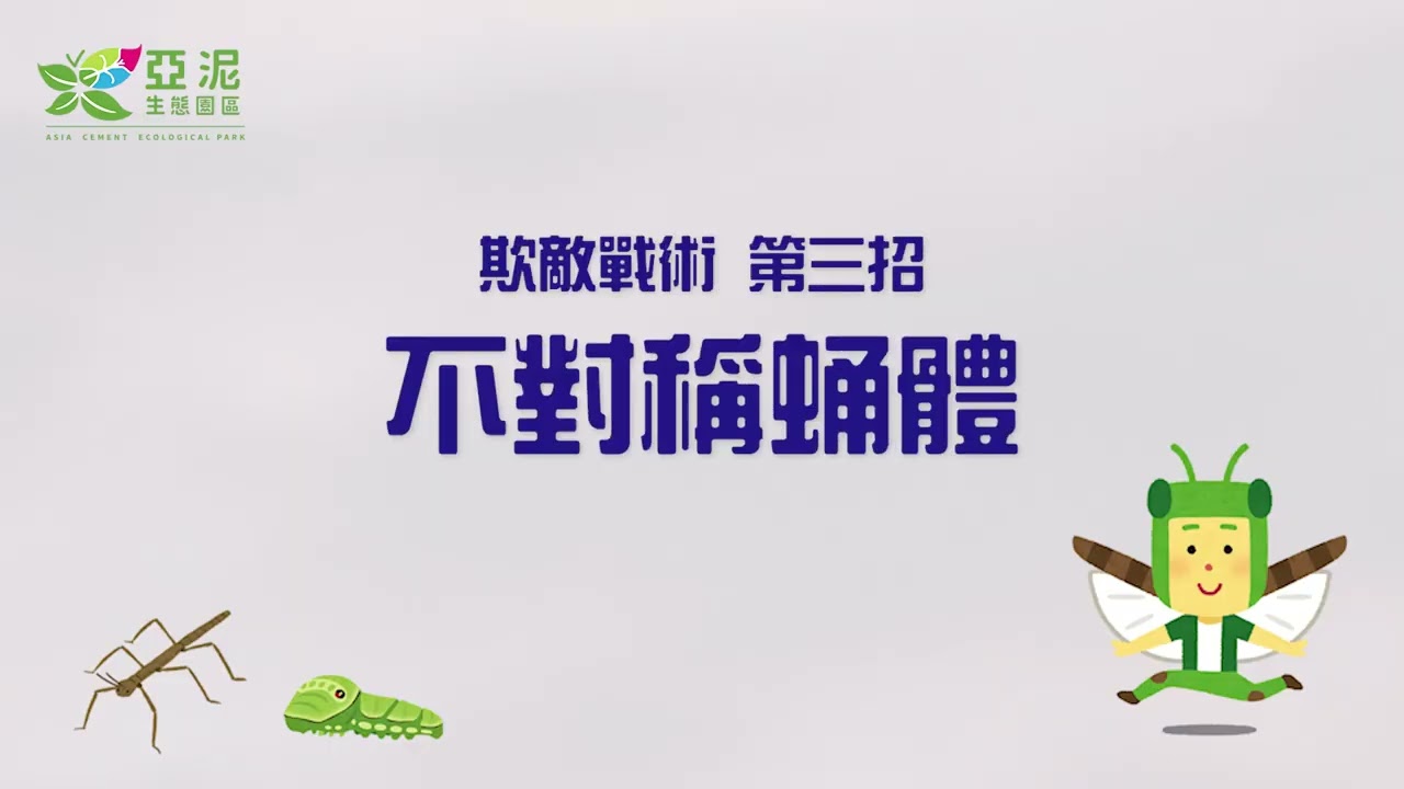 單帶蛺蝶  亞泥生態園區