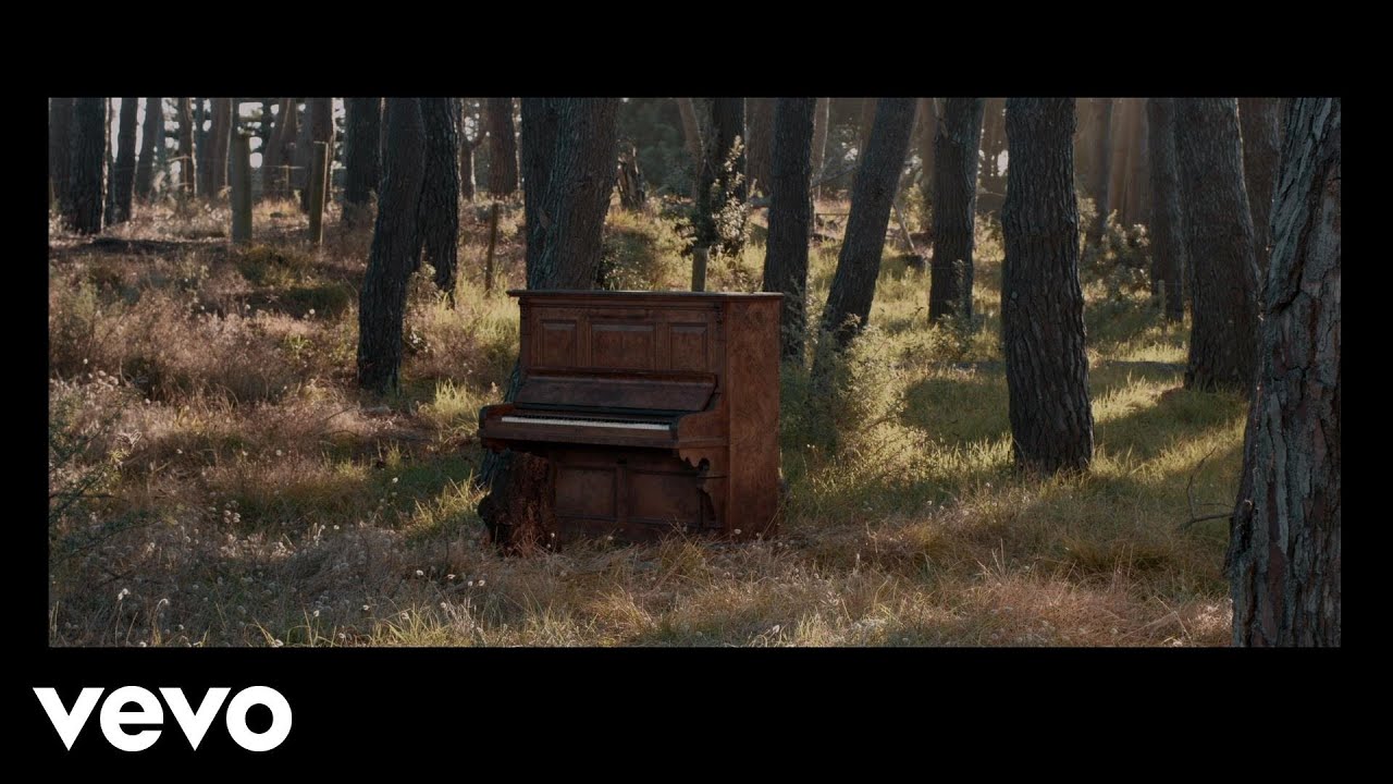Jamie McDell - Moon Shines Red (Wild Video)