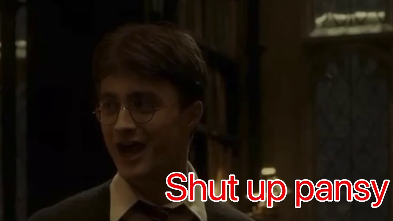 Y/n: The new student at Hogwarts! Pt. 1