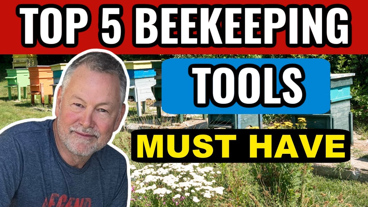 Beekeeping: Top 5 Must Have Beekeeper's Tools