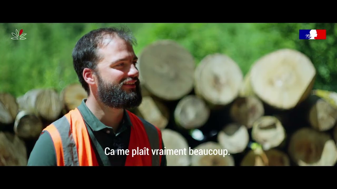 La sylviculture à couvert continu en Nouvelle-Aquitaine - L'exploitant forestier - 2/2