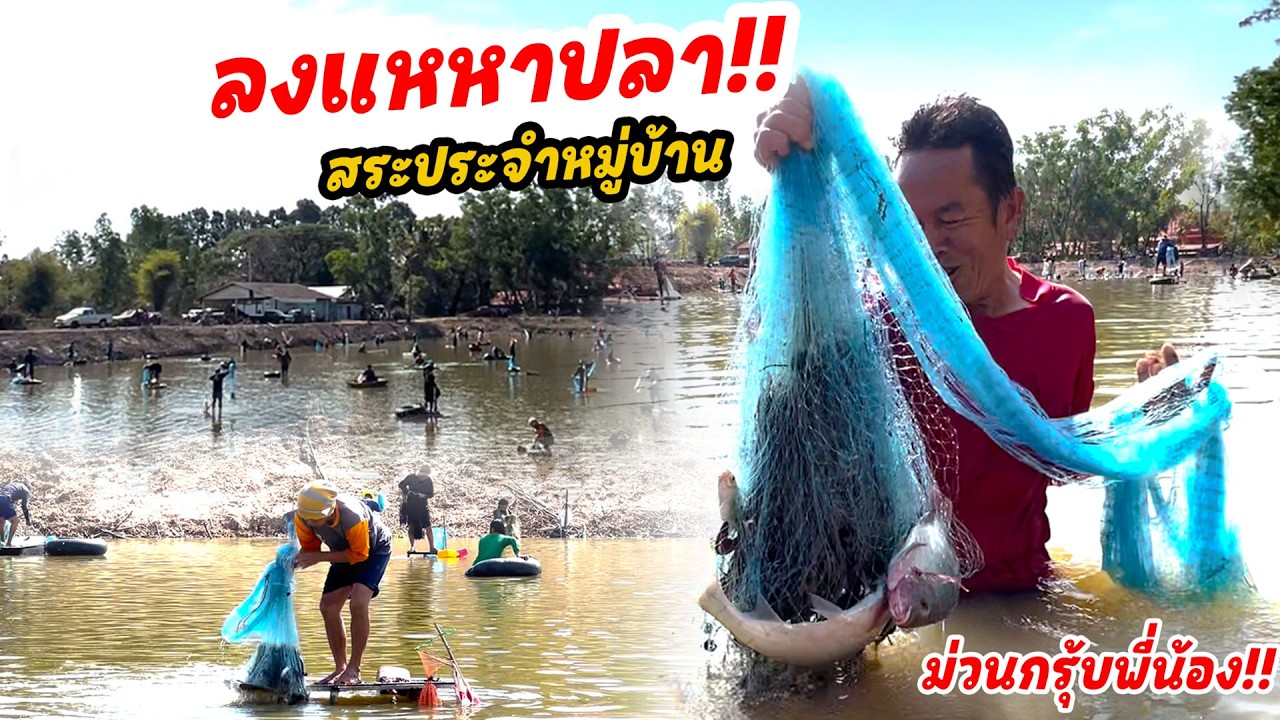 ลงปลาหนองเจ้าปู่ ประเพณีประจำปี!! ลุ้นปลาใหญ่กับพ่อน้อย ม่วนกรุ้บพี่น้องปีนี้!!