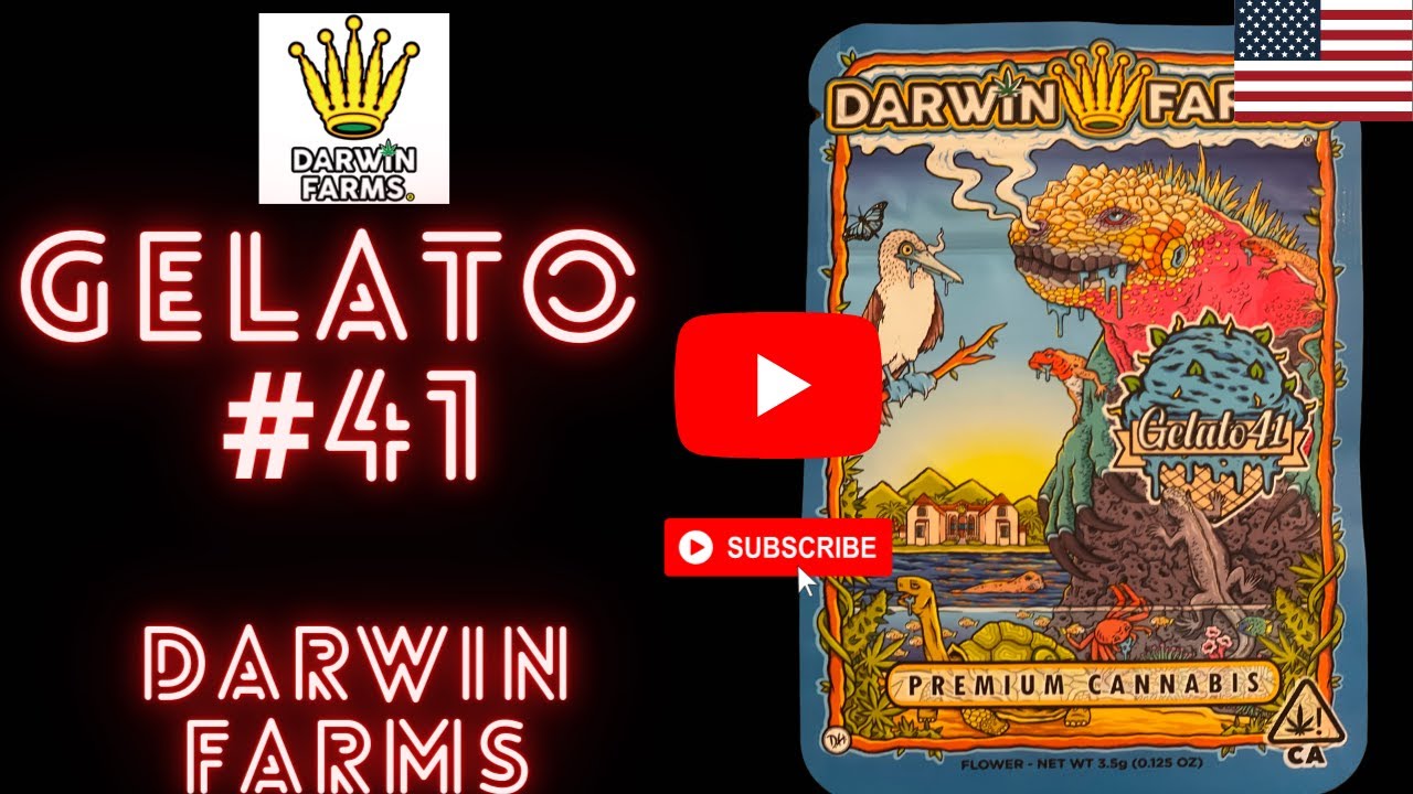 Gelato 41   Darwin Farms