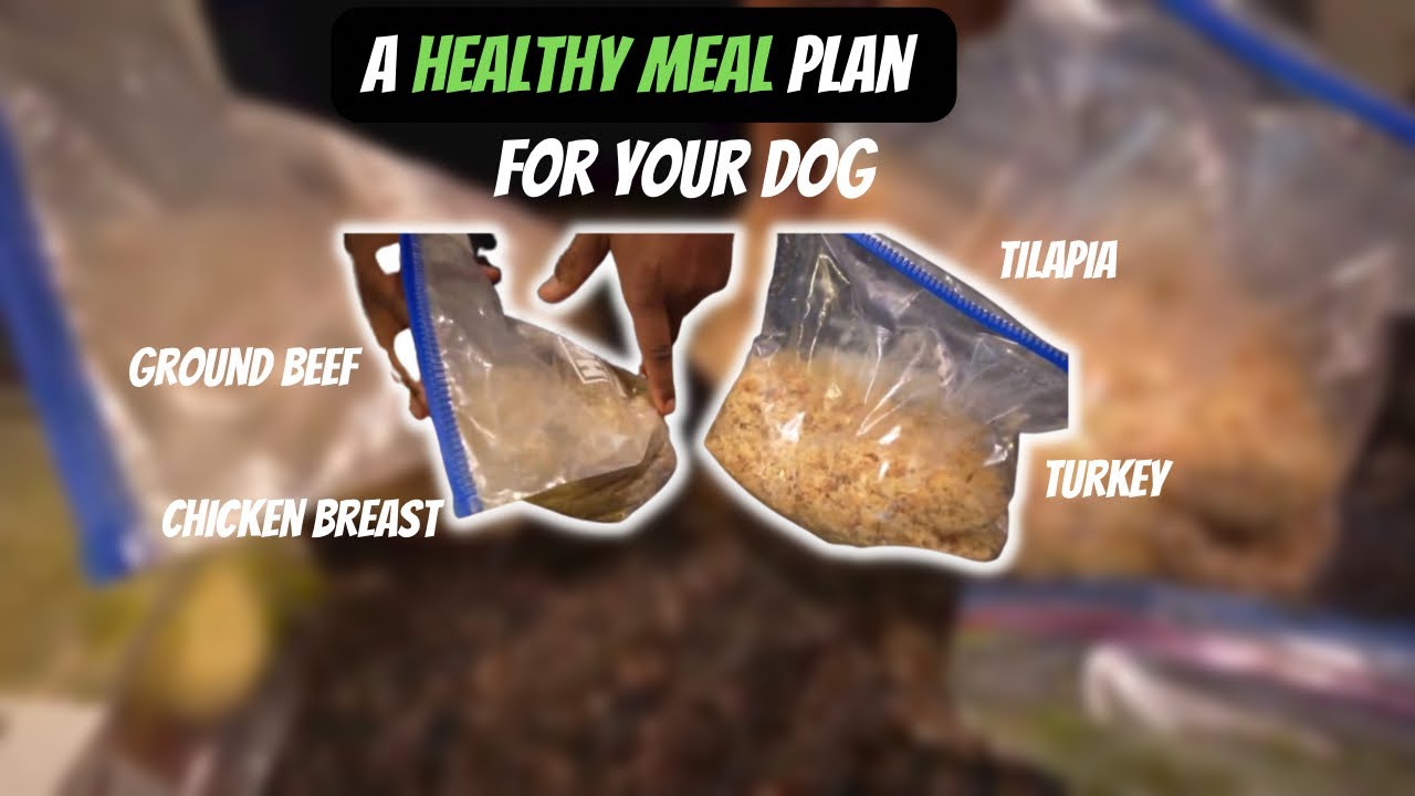 Simple Healthy Puppy Diet Needs