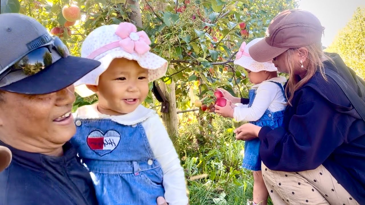 BAWIHTEI'N APPLE A LO LEH TA||APPLE FARM IOWA||Vlog.
