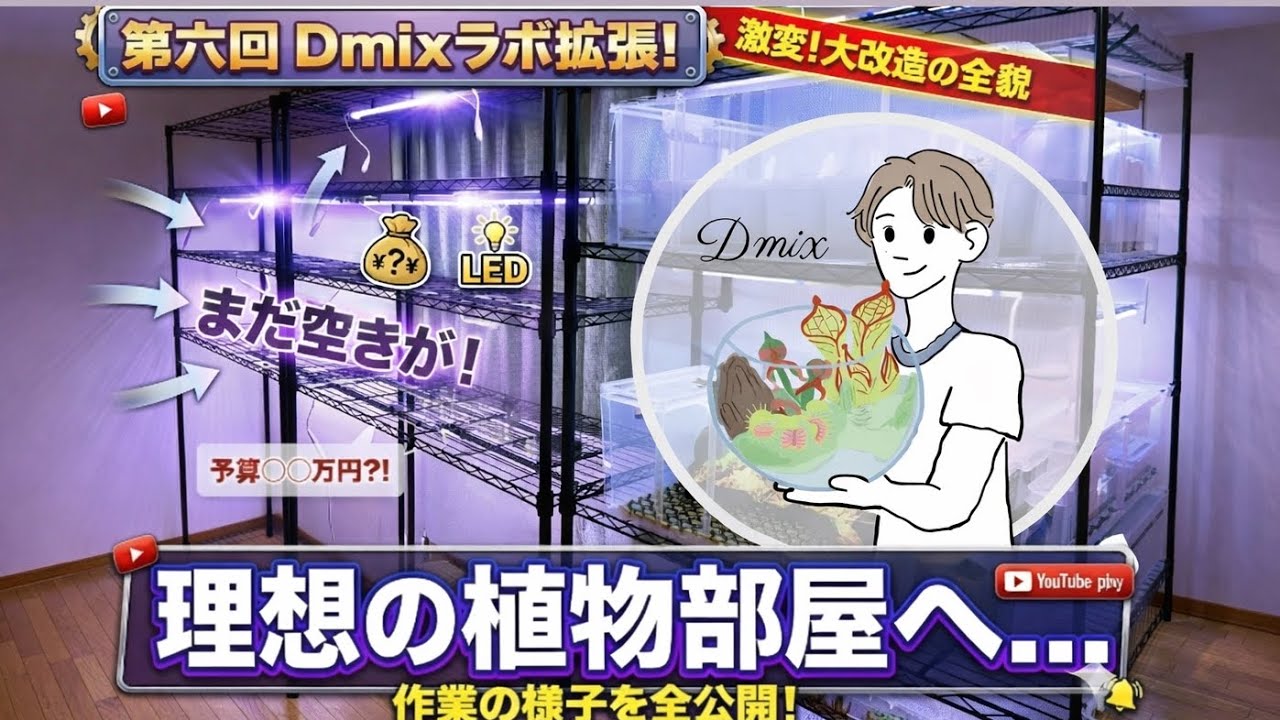 【第六回】Dmixラボ拡張！　食虫植物をもっと育てる環境を増築する♪ 観葉植物