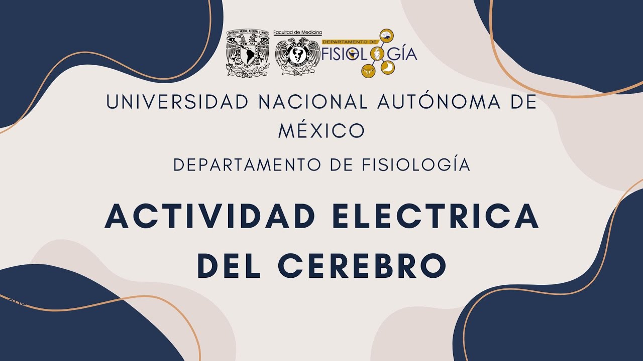 9. ACTIVIDAD ELECTRICA DEL CEREBRO
