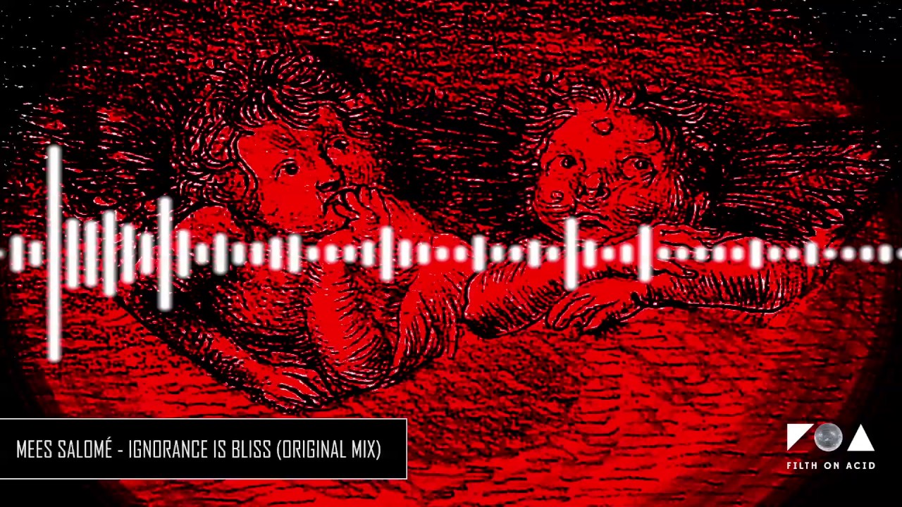 Mees Salomé - Ignorance Is Bliss (Original Mix)