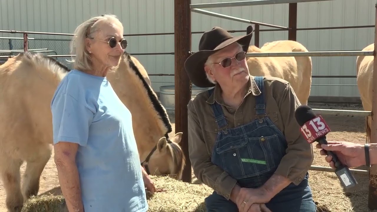 Inside the Tucson Rodeo Parade: 500 horses, 73 wagons, one big day