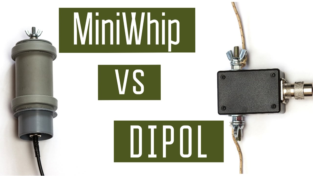 MiniWhip vs Dipol. Сравнение работы антенны MiniWhip и диполь на диапазон 40м. Радиосвязь.