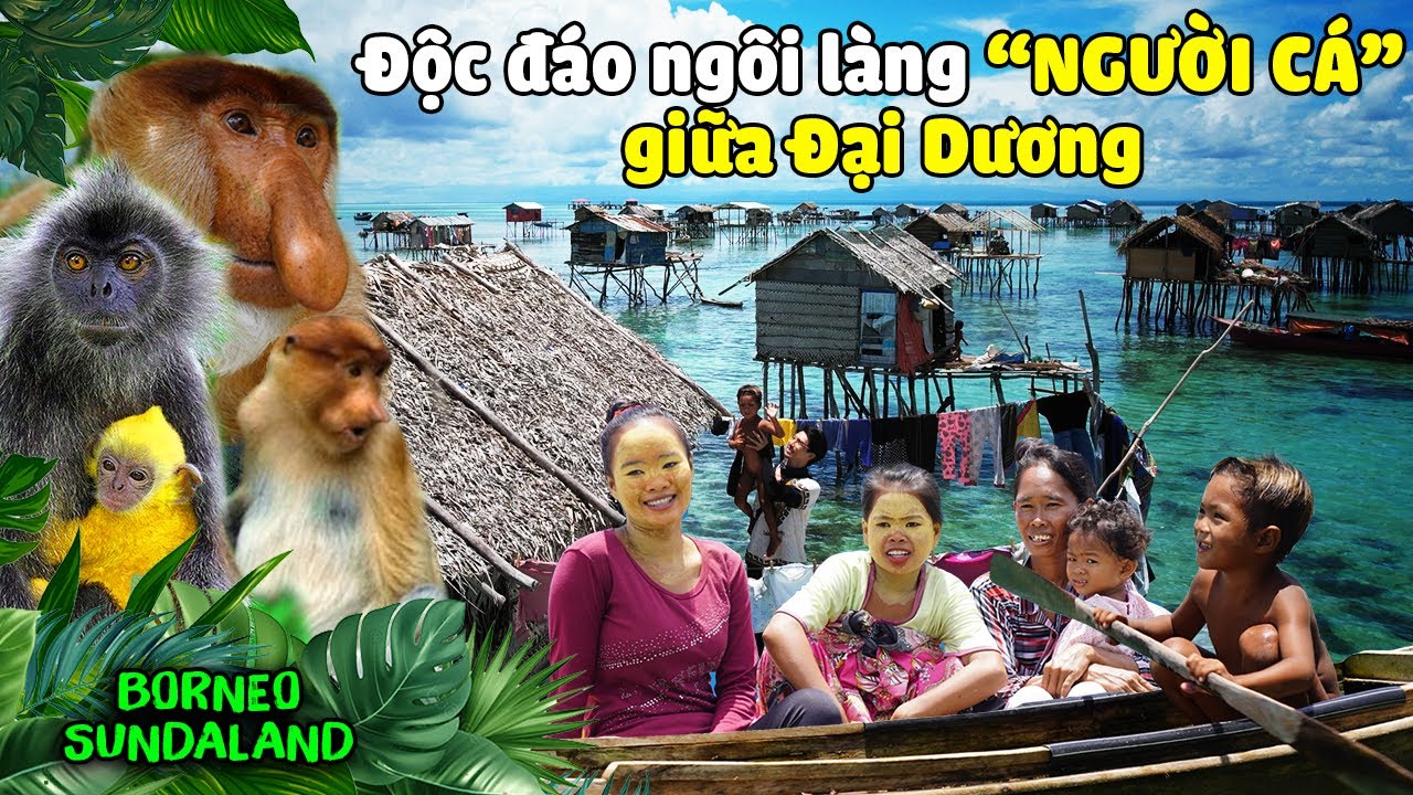 Đến làng DU MỤC BIỂN cuối cùng trên TG/Nhân ngư Bajau Nam Đảo/ BORNEO