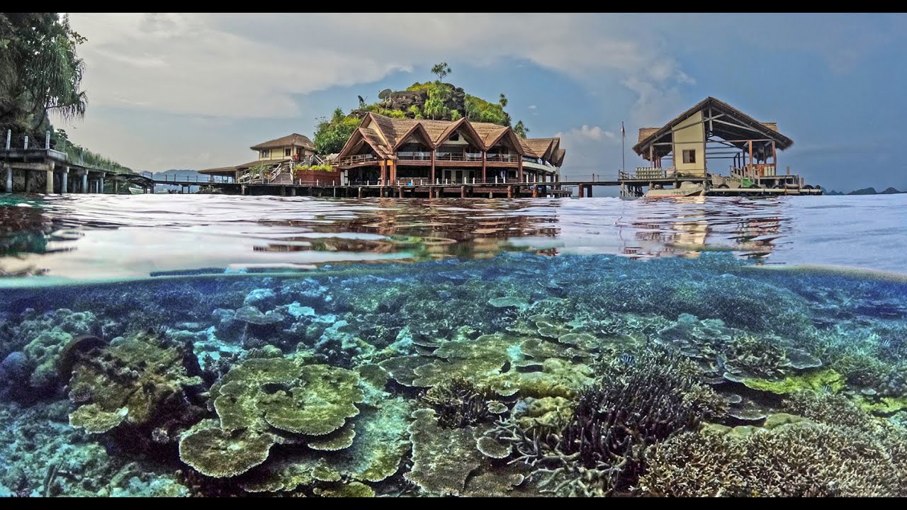 Diving Misool in Raja Ampat, Indonesia - Feb. 2023