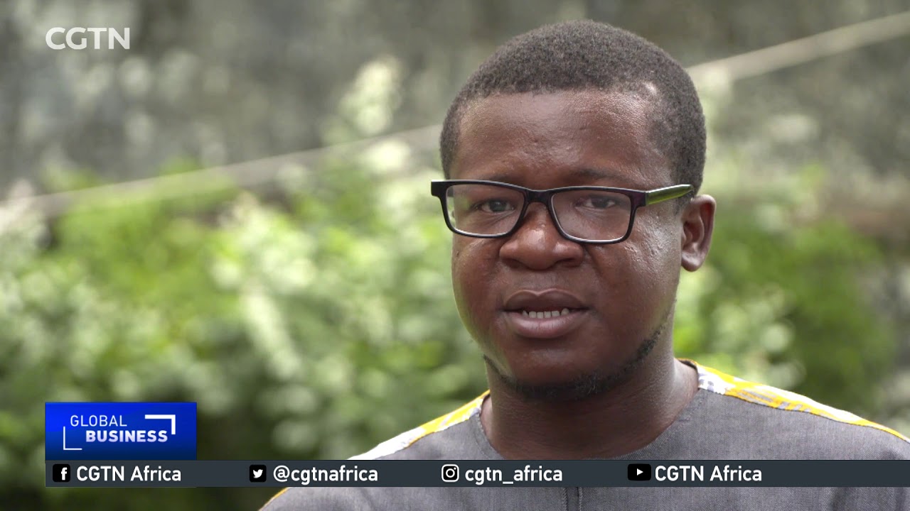 Liberian company boosts country's palm oil production