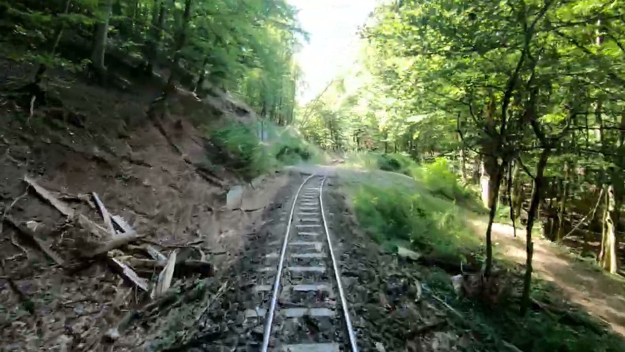The Line Nagyirtáspuszta - Szob (Nr. 318.) 20210910 4kup