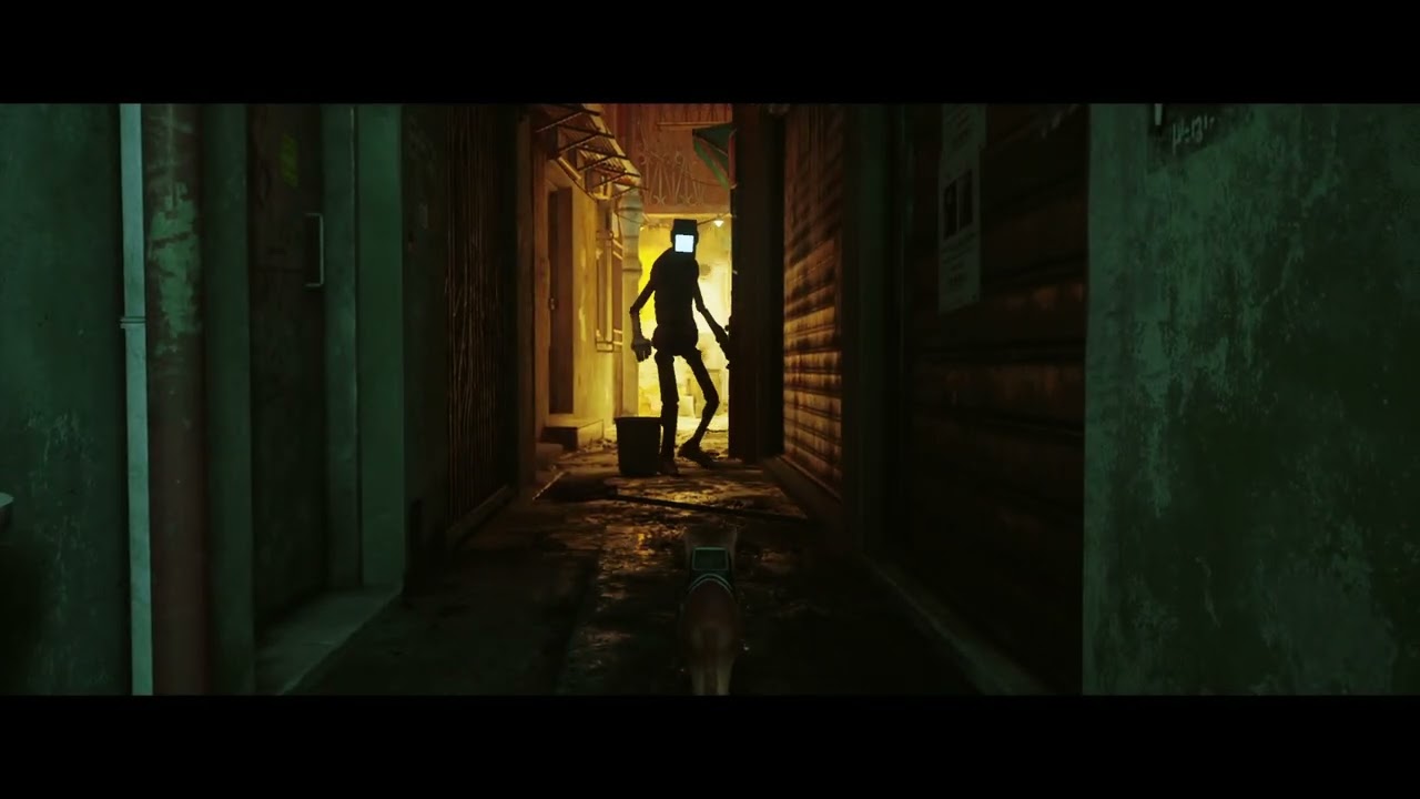 Stray