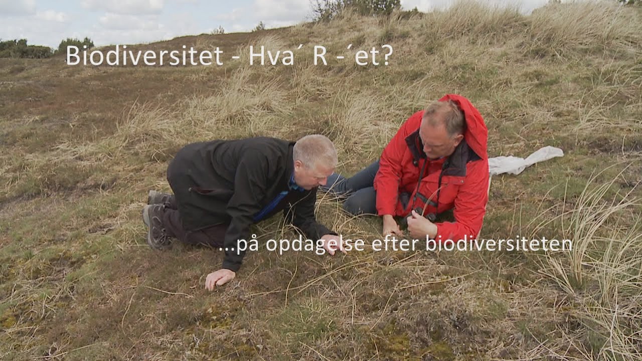 Biodiversitet – Hva´R´- et?