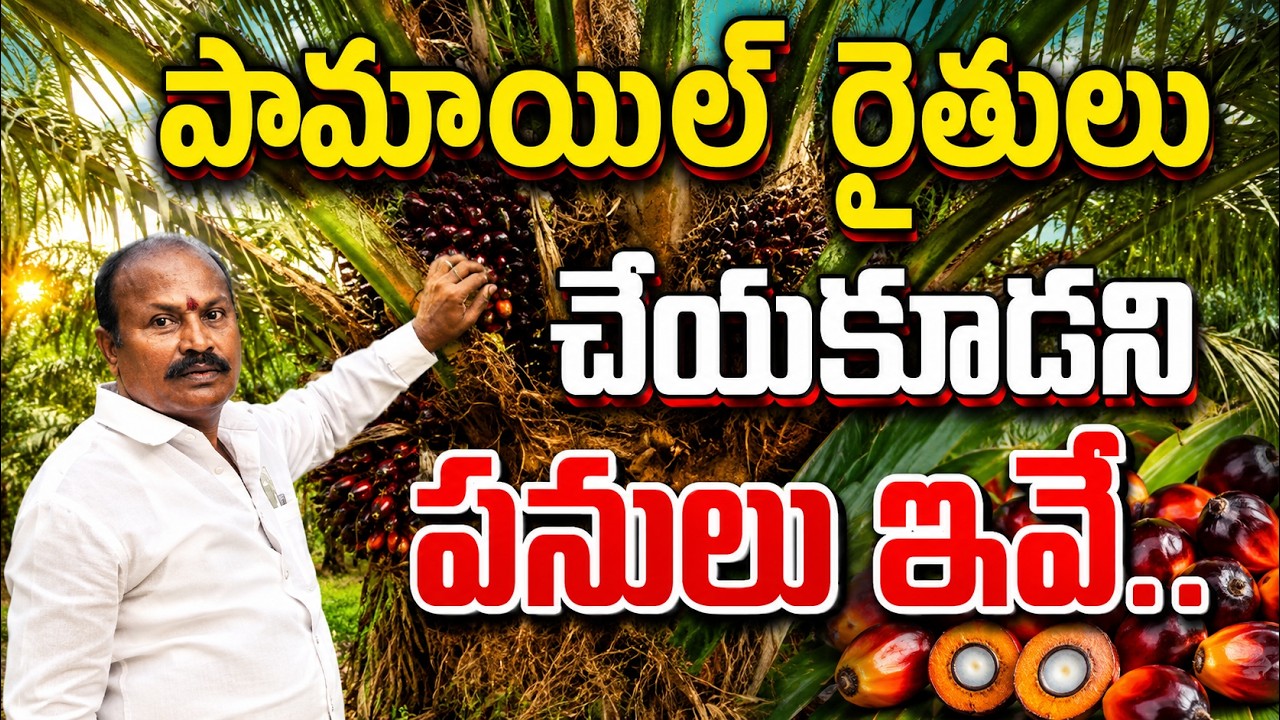 వంద టన్నుల దిగుబడి లక్ష్యం | oil palm cultivation | bhumiputhra