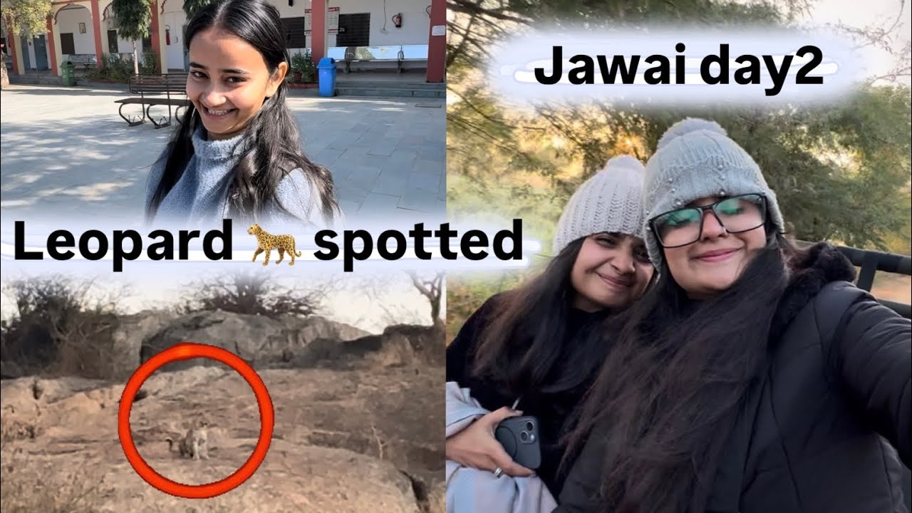 Jawai day2|leopard family spotted|#vlog#travelvlog #jawaisafari #sisters #rajasthan 