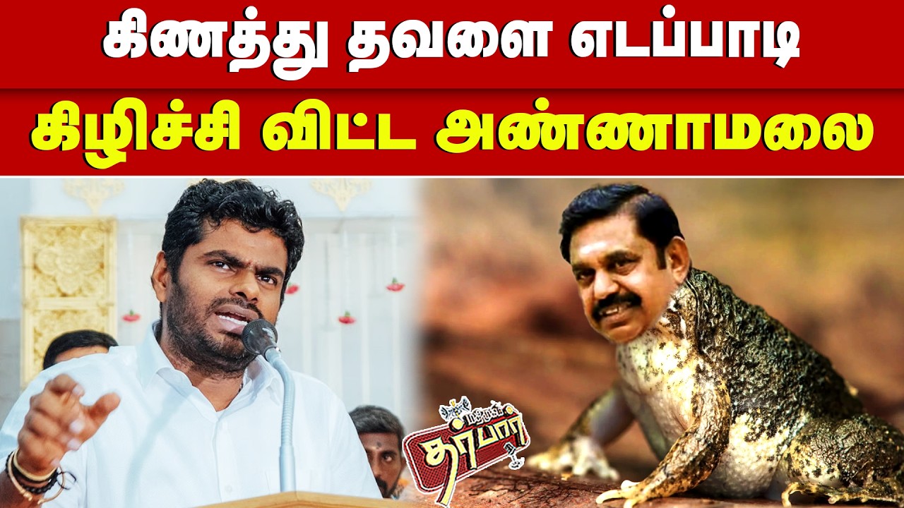 What is the name of the well frog? Who tore Annamalai apart? Annamalai | EPS | ADMK | BJP | NDA Alliance