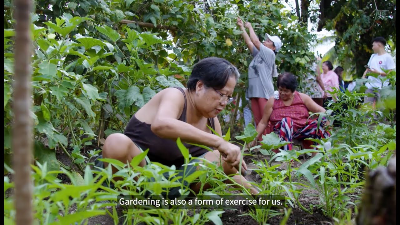 Community representation of older people transforms Borongan into an Age-Friendly City and Community