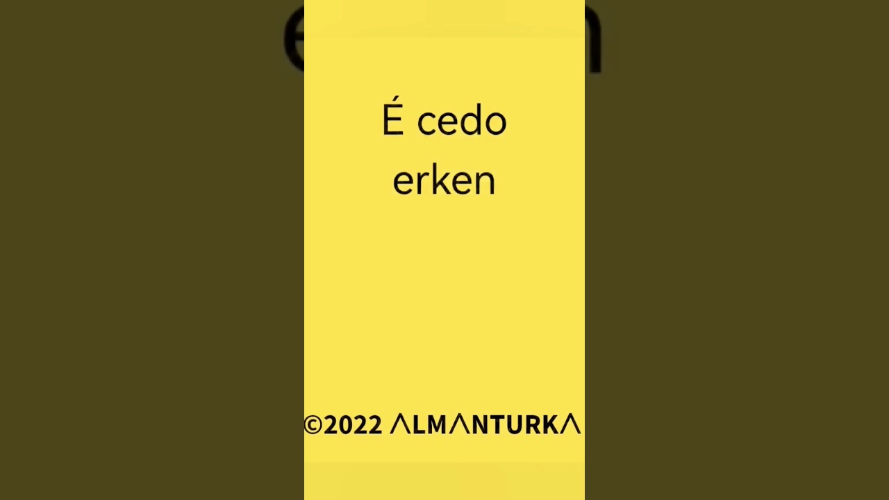 turco B&aacute;sico Em turco com Tradu&ccedil;&atilde;o portuguesa👉ALMANTURKA