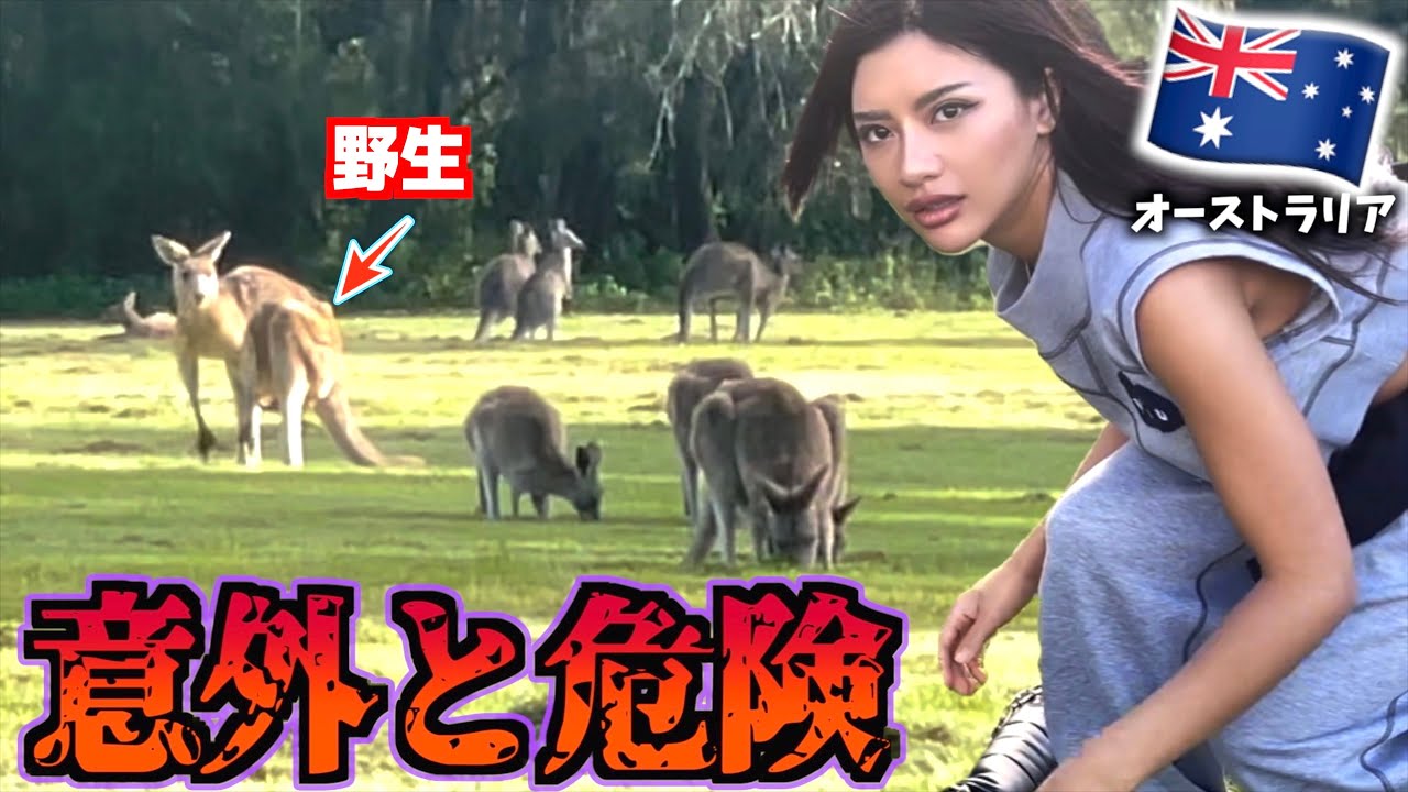 【ギリギリアウト】癒されたかっただけなのにwwwwww
