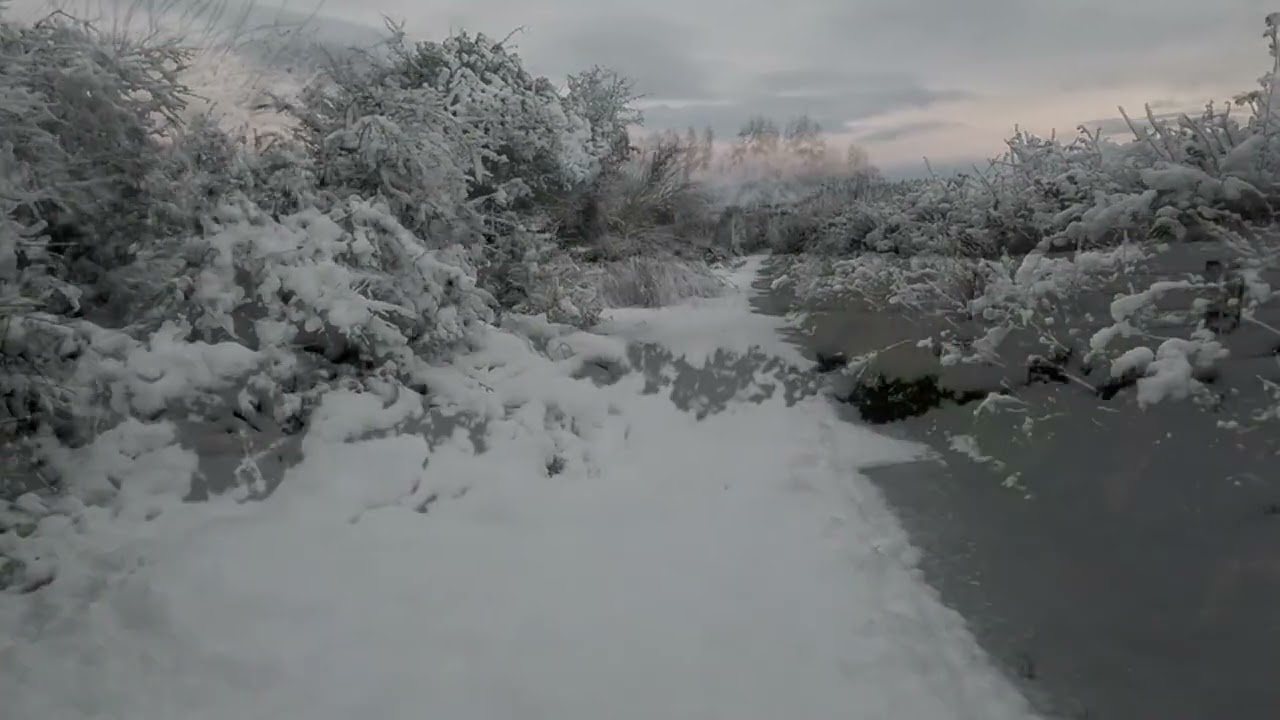 killawalla Snow Nov  21, 2024