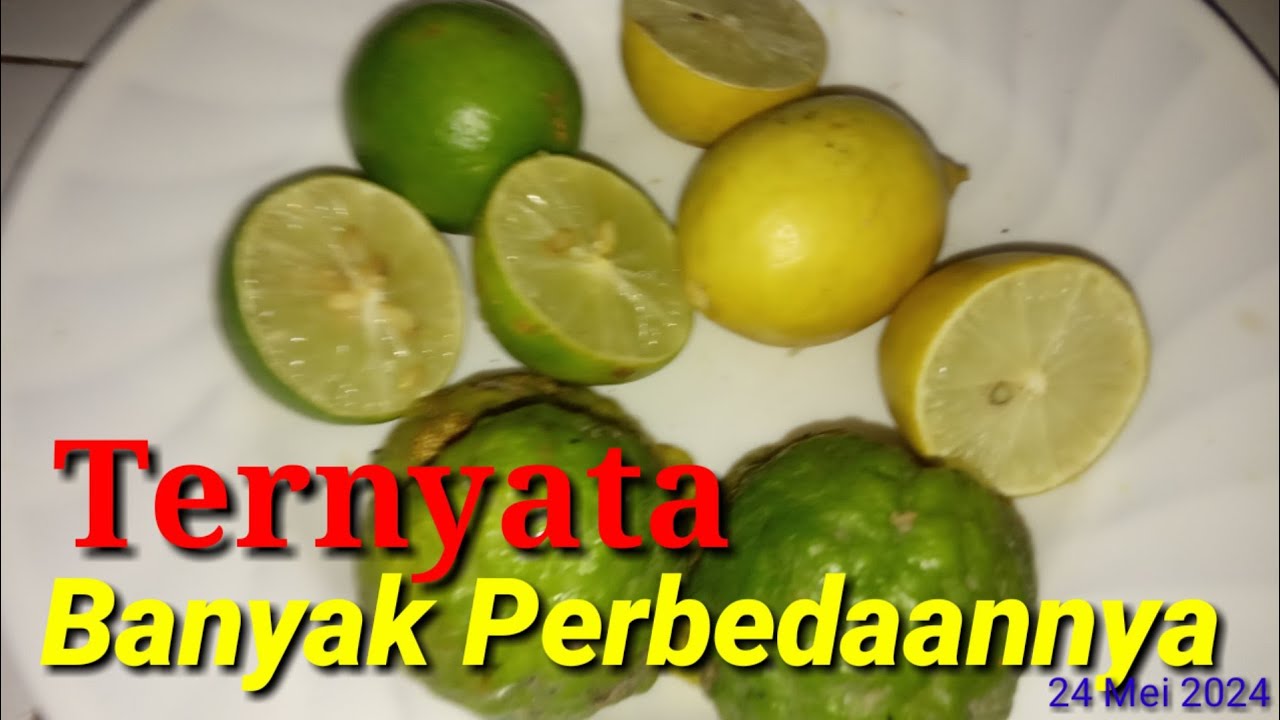 Cara Mudah Membedakan Antara Jeruk Purut,Jeruk Nipis Dan Jeruk Lemon