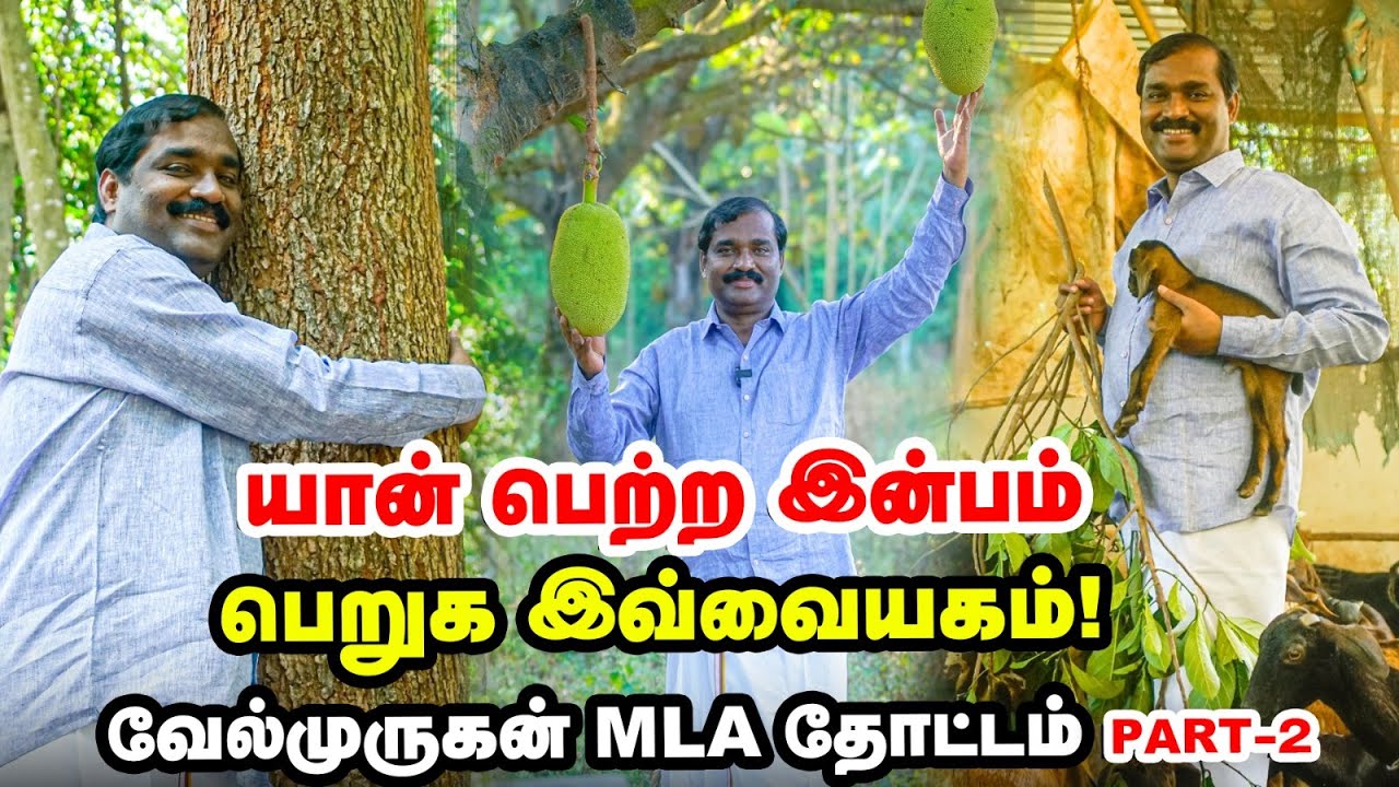 காய்கறிகளுக்காக பிரத்யேக தோட்டம் | பிரமிக்க வைக்கும் வேல்முருகன் MLA | Velmurugan Farm visit- Part-2