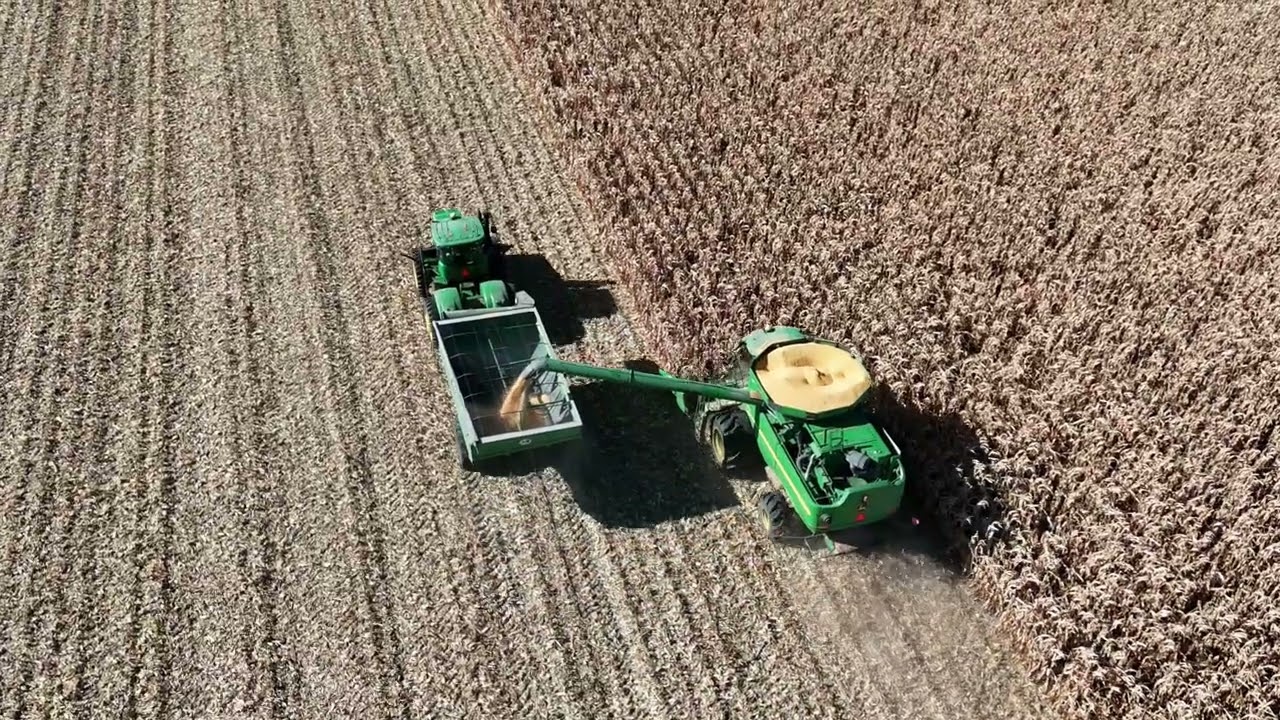 Corn harvesting near Claire City, South Dakota.