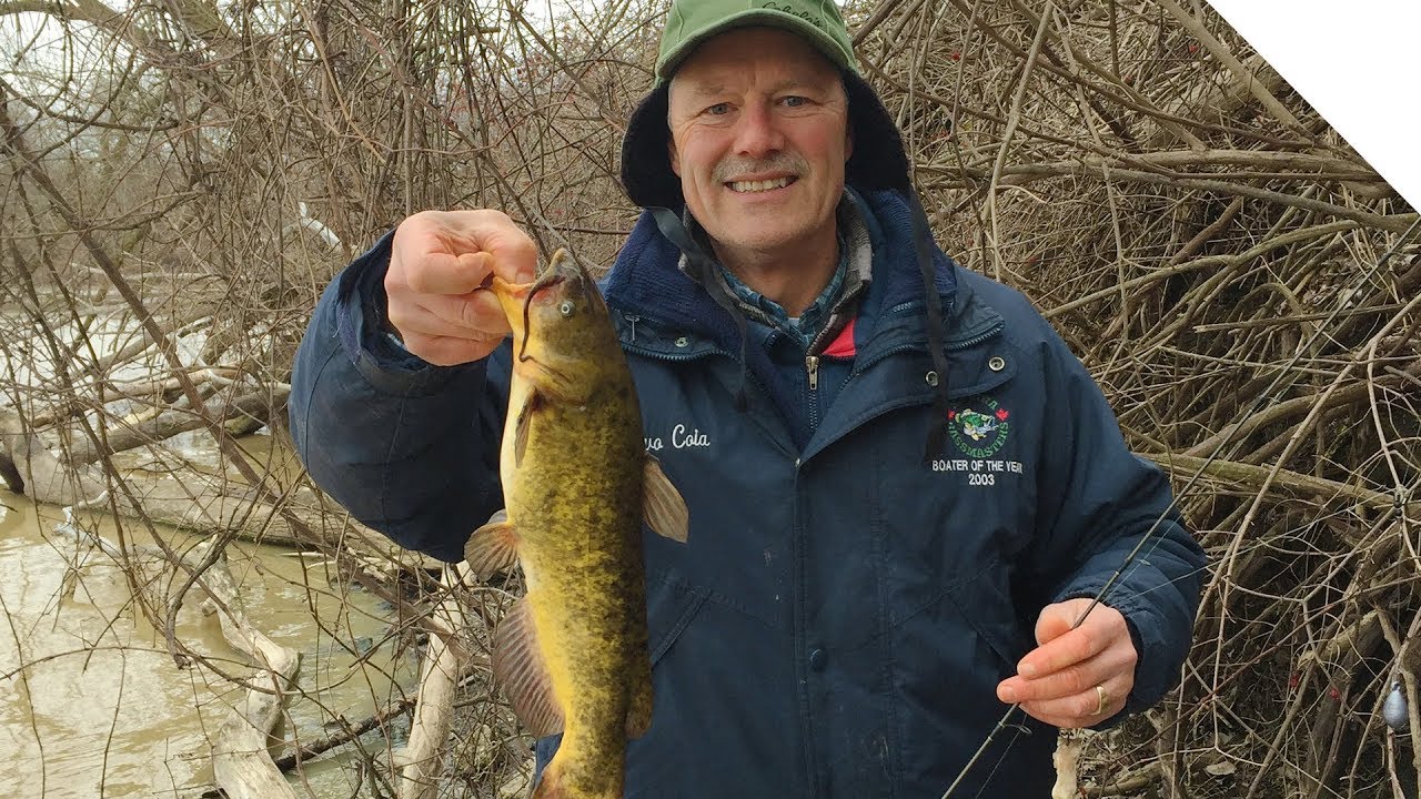 Early Season Bullhead and Catfish Fishing from Shore