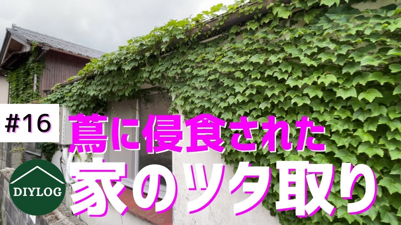 蔦に侵食された古民家再生｜中古住宅の蔦取りと雑草除去【古民家DIY#16】