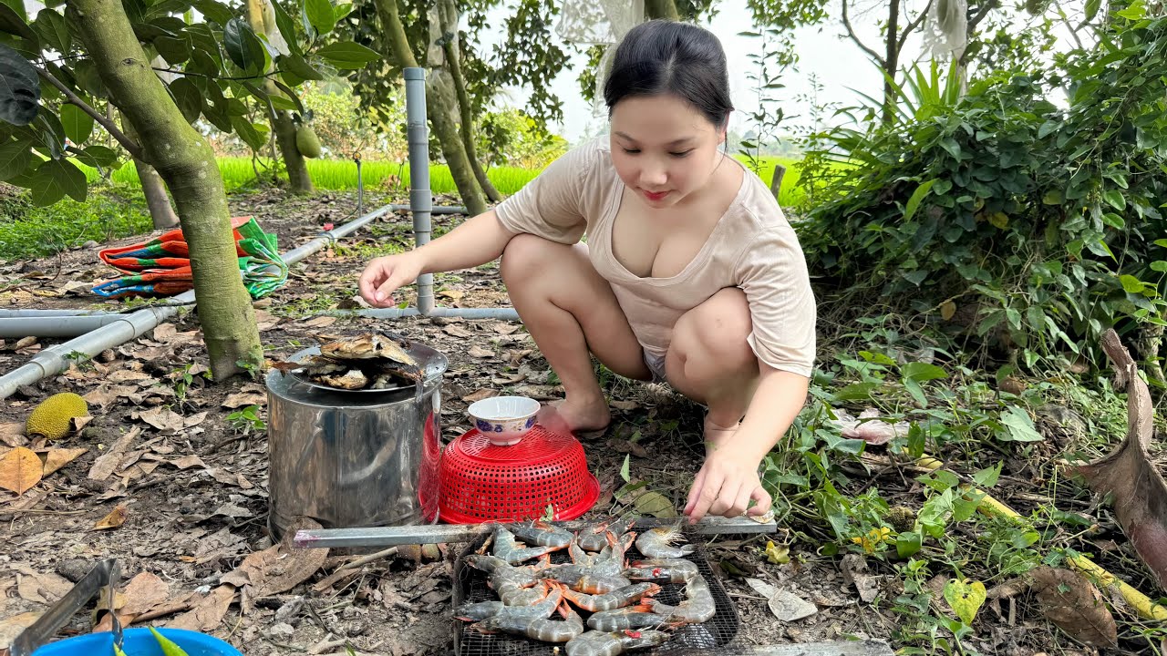 Câu Cá Đem Nướng Mọi Đãi Hai Bà Chị Lâu Ngày Qua Chơi | TTMT#289 