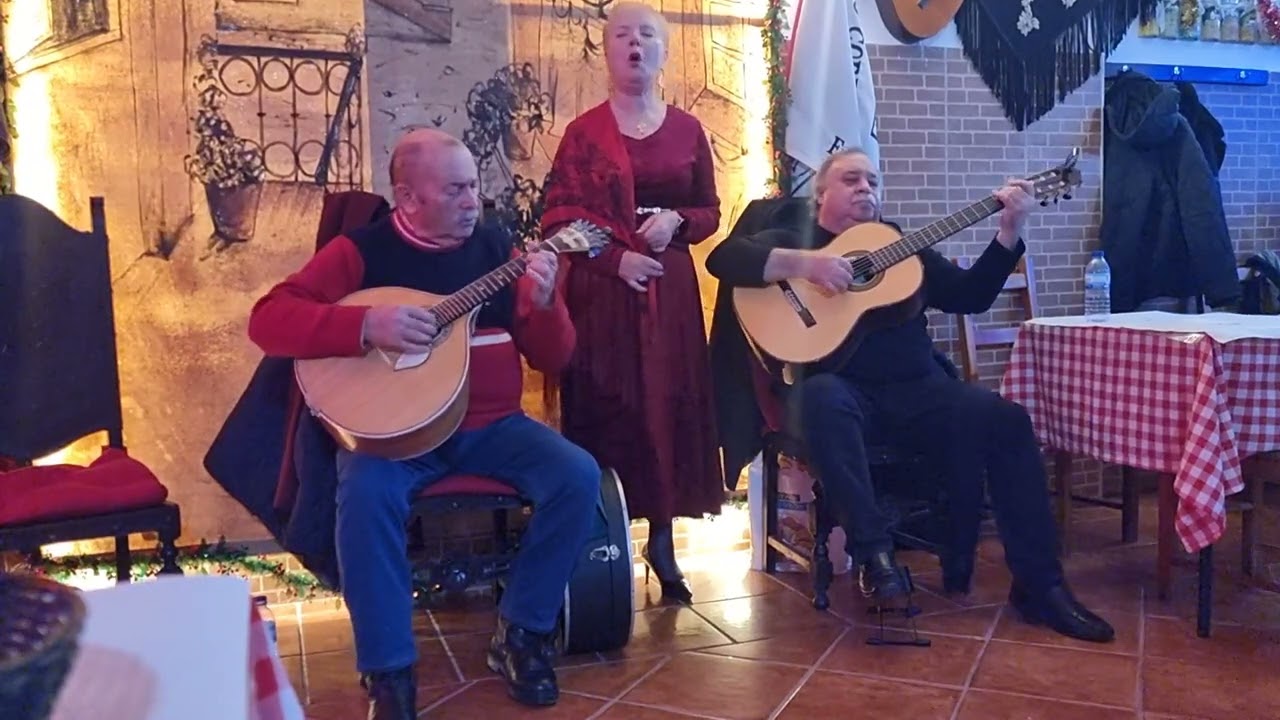 Juventude  (Carlos da Maia)