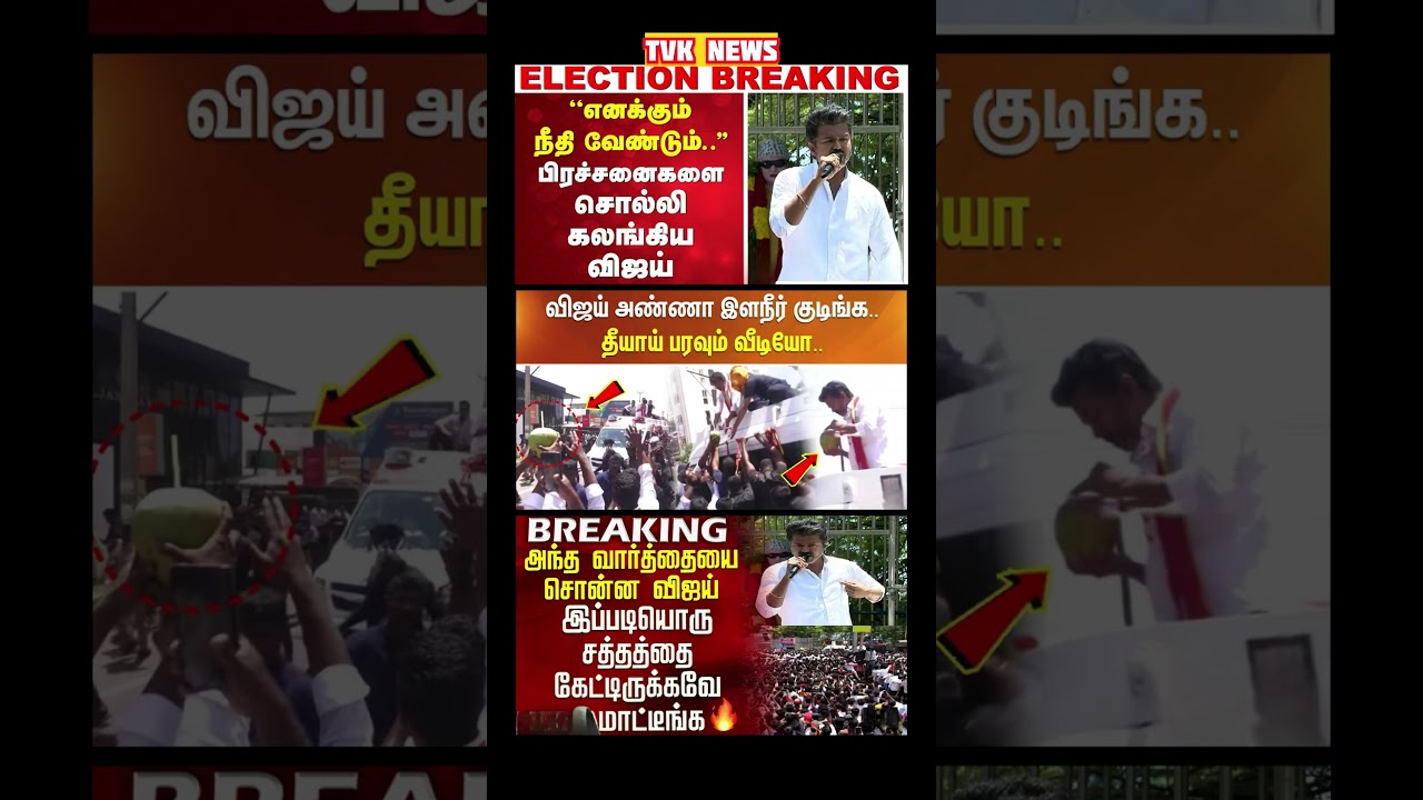 TVK Thalapathy vijay anna || #tvk#dmk#admk#congress#bjp#breakingnews#news#thalapathy#fyp
