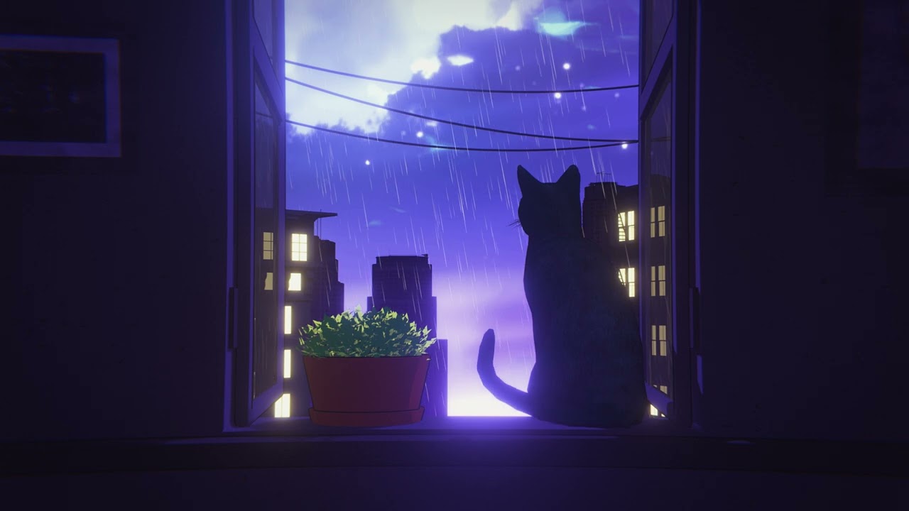 Rainy Window View 🐱 Chill Music with Cat & City Lights