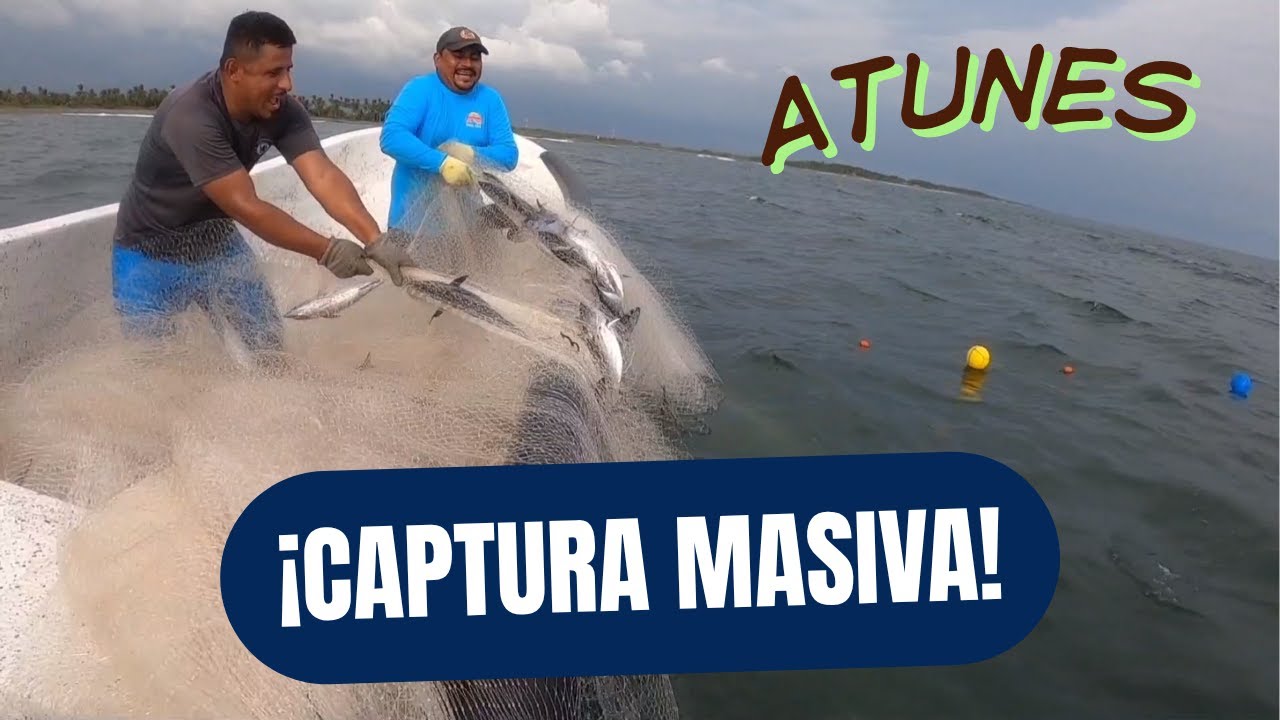 En la Pesca de Rodeado puede suceder cualquier cosa. Hoy le pegamos a los Atunes