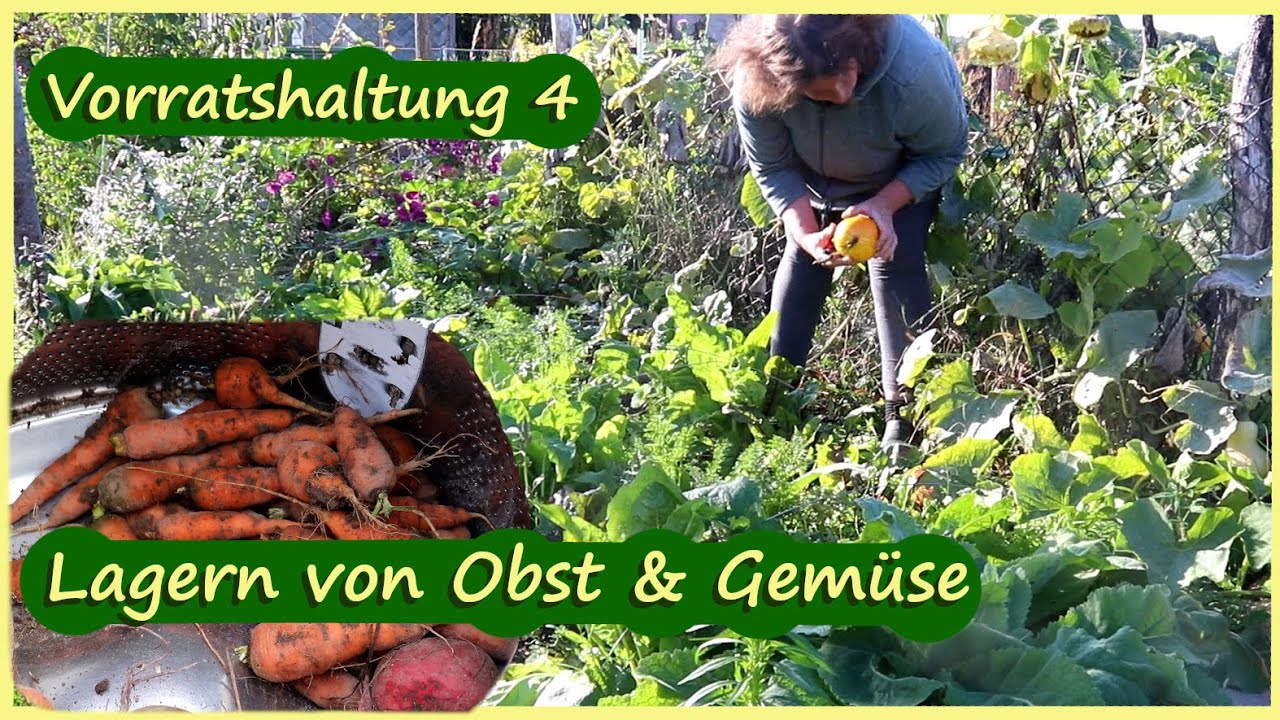 Vorratshaltung 4 Gem&uuml;se & Obst richtig lagern