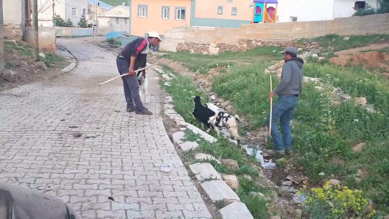 BAYBURT YUKARI DİKMETAŞ KÖYÜNDE DEMİRÖZÜ İLÇEMİZE SEYAHAT.