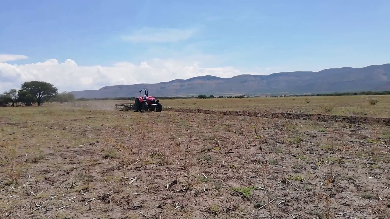Massey ferguson 2685,rastra de 32 discos