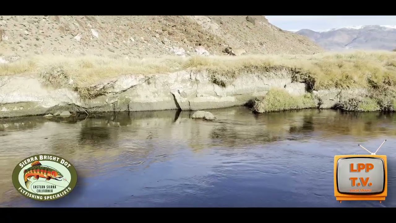 Фред Роу из Sierra Bright Dot Fly Fishing Service представляет отчет о рыбалке нахлыстом на 19-25...