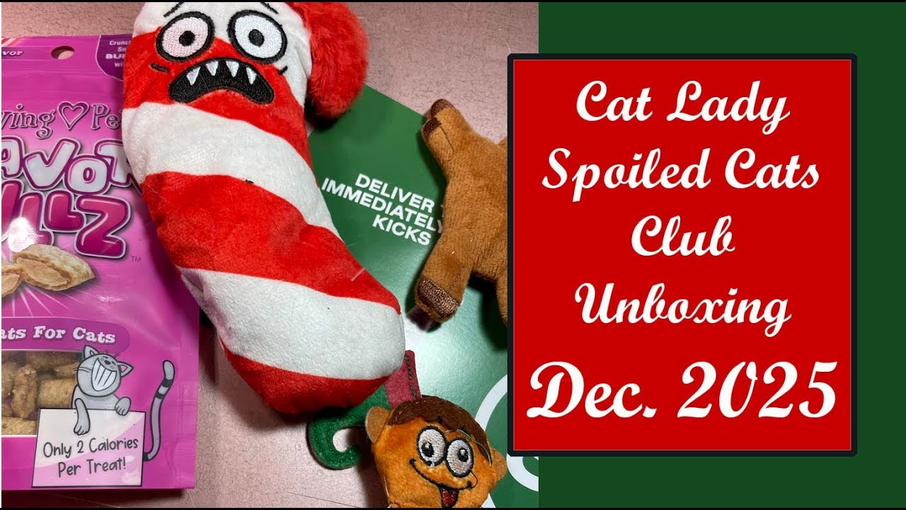 Распаковка подарочного набора от Cat Lady's Spoiled Cats Club | Декабрь 2025
