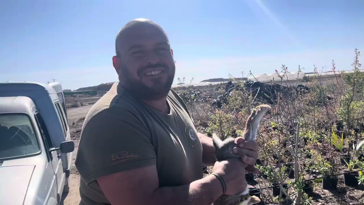 Camperos está es la parte de abajo del vivero,donde están los olivos nuevos😘👍❤️