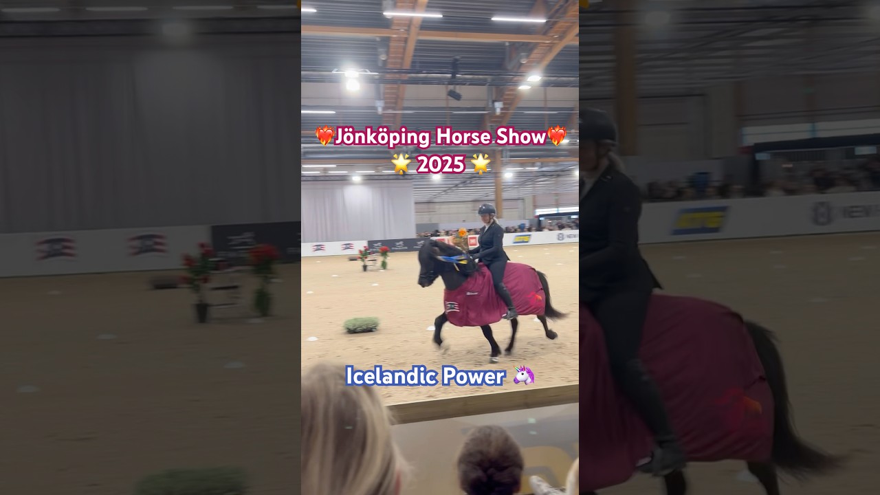 Jönköping Horse Show - Icelandic Power #horse #islandshäst #icelandichorse #tölt