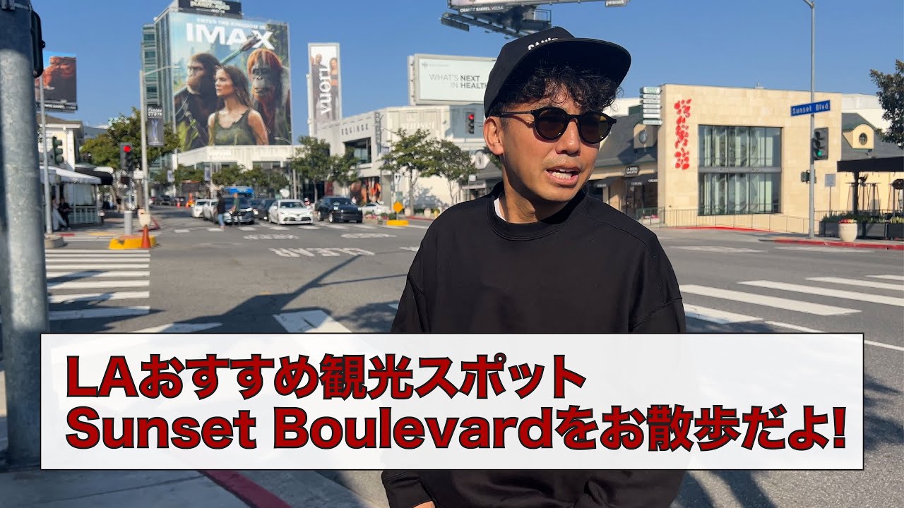 LAおすすめ観光スポットSunset Boulevardをお散歩だよ!!