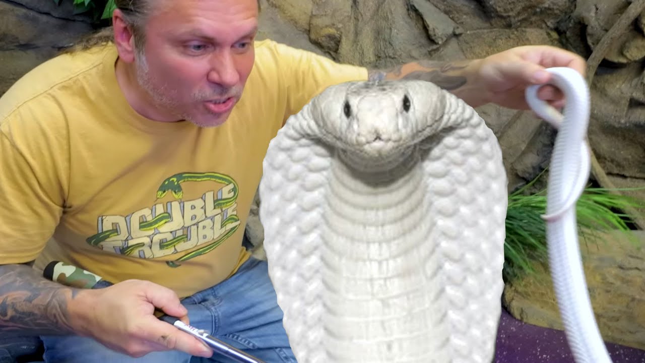 DEADLY SNAKE HANDLING WITH A VENOMOUS SNAKE EXPERT!! | BRIAN BARCZYK
