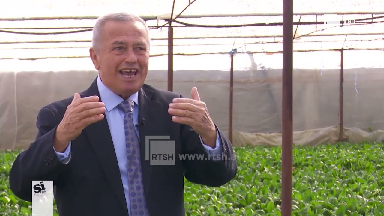 Si kultivohet spinaqi dhe çfarë duhet të dimë | “Si në familje” në RTSH