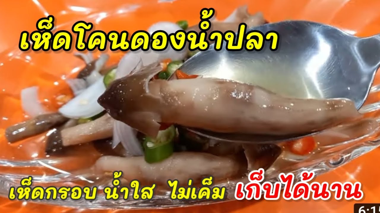 วิธีทำเห็ดโคนดองน้ำปลา วิธีเก็บเห็ดโคนไว้กินนานๆ ดองเห็ดโคน เทคนิคต้มเห็ดโคนให้กรอบหวาน น้ำใสไม่ขุ่น